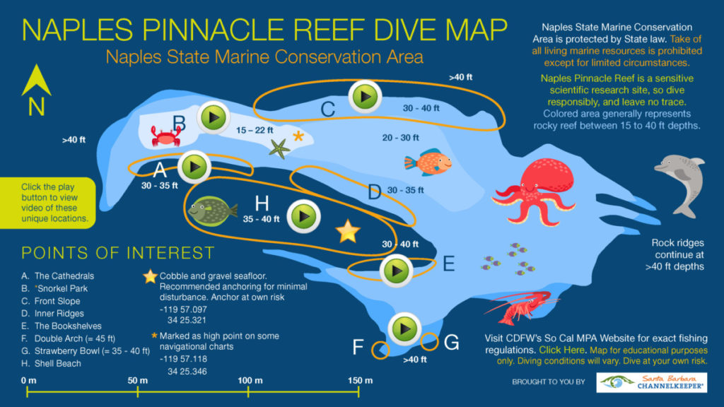 Click to open an interactive PDF and take an underwater dive tour!