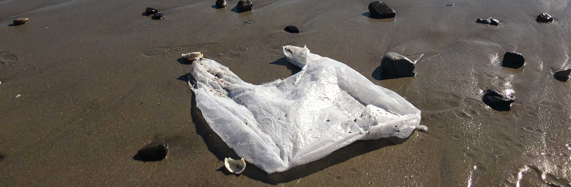 A plastic bag polluting the beaches in Santa Barbara.