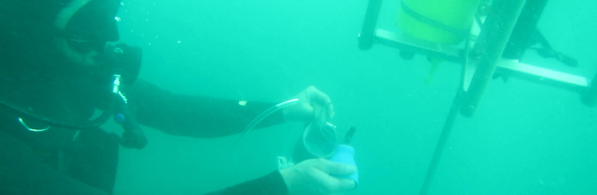 Underwater volunteers monitoring ocean acidification.