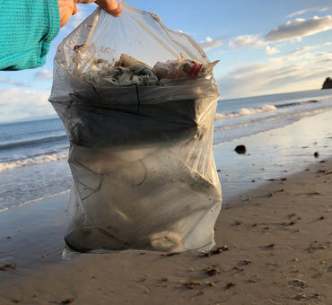 Beach Clean-up Guide